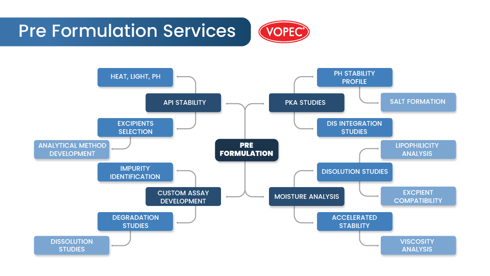 Pre Formulation Services